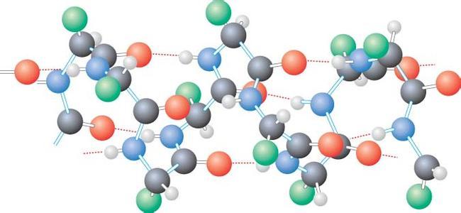 蛋白質(zhì)結(jié)構(gòu)圖